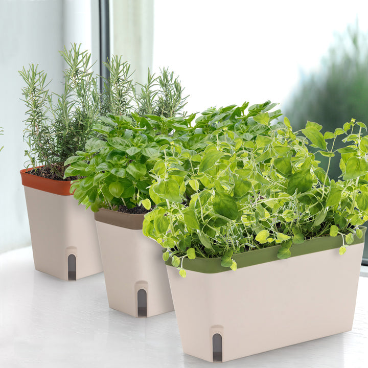 Set of 3 self-watering herb planters